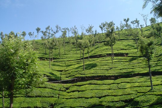 Tour image 6
