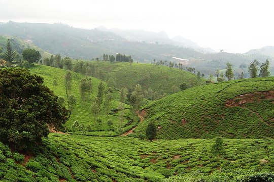 Tour image 11