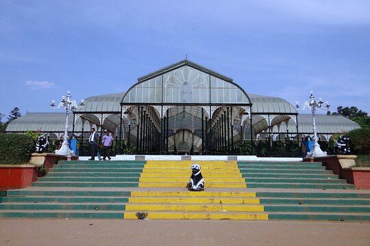 Tour image 7